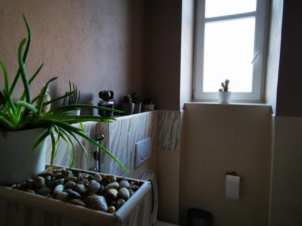 Falcon apartment Trnava Esterno foto